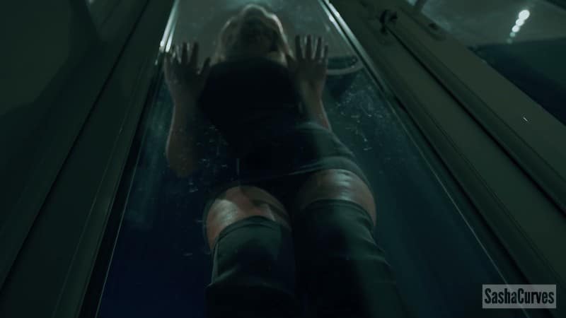 Sasha Curves - Giantess SashaCurves Best Sellers Of 2025 Bundle 4