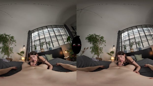 [VRedging] Sooky Sin - In Bed With (2025-12-16) [3840p X 2160p 4k] 25