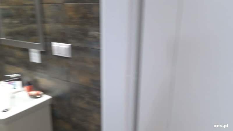 XES 26/02/23 Dragon Fruit BTS POLISH FullHD 2